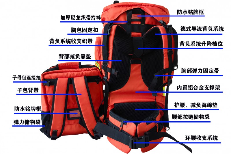 背部图解