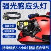 强光感应头灯