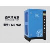 道雄DS750空气填充泵